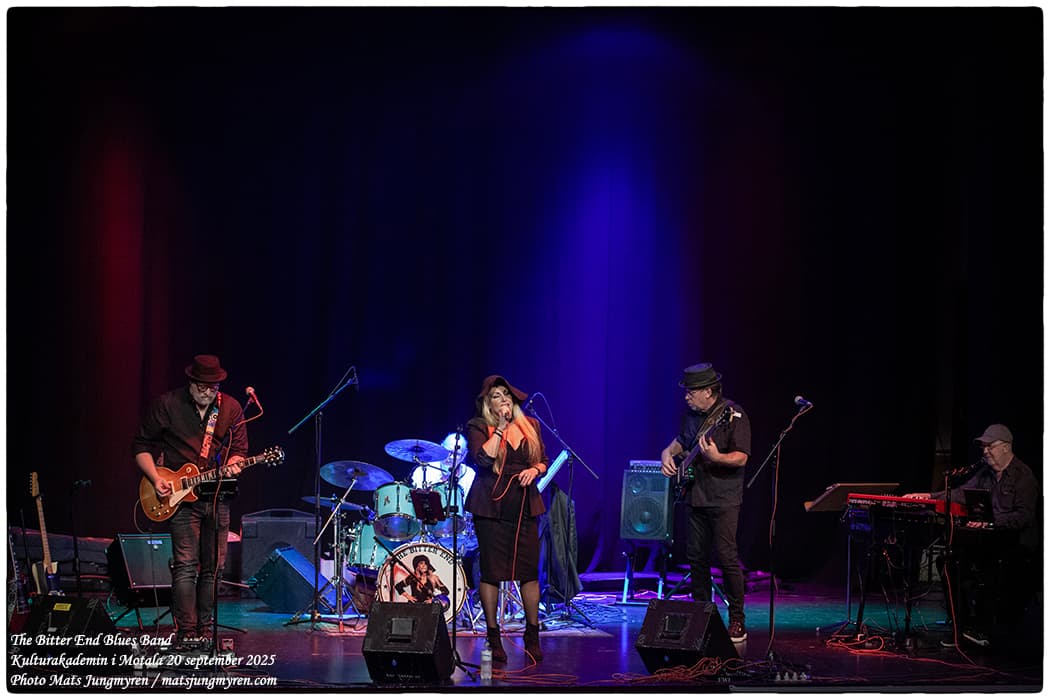 Bitter End Blues Band